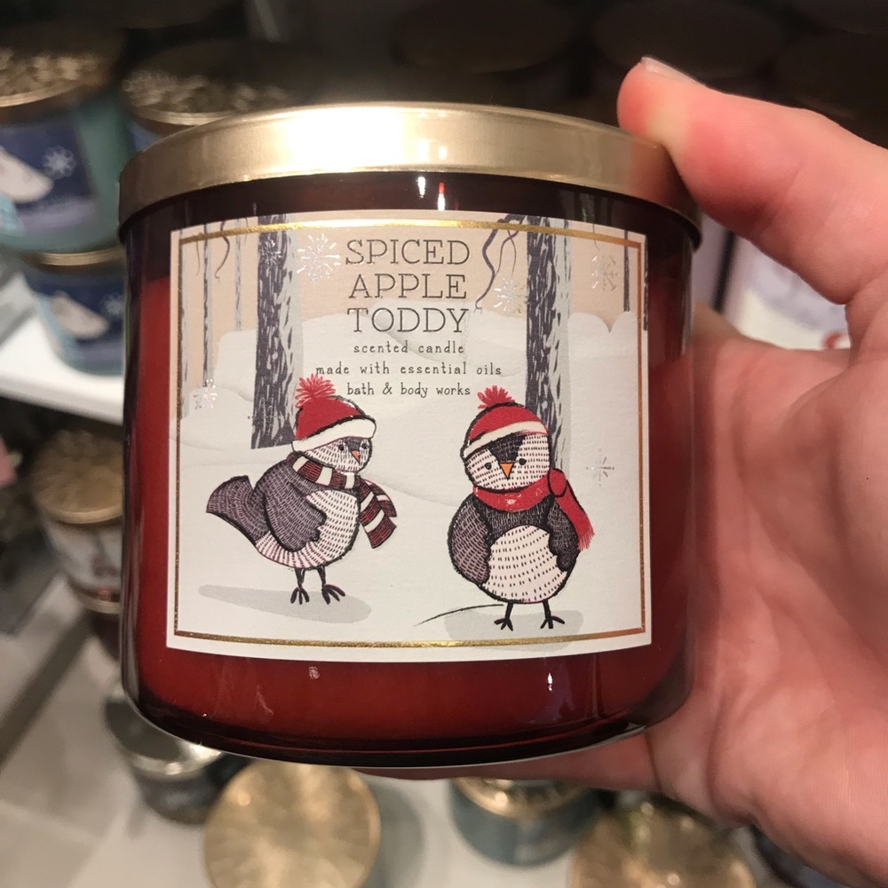Spiced apple toddy candle bath and body works